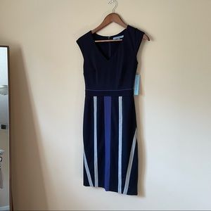 Antonio Melani Stripped Dress